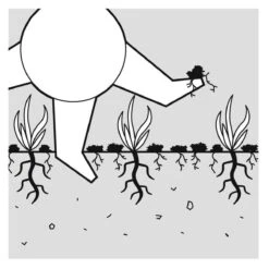 GARDENA EVC 1000 Verticuteermachine - Werkbreedte 30 Cm - Werkgebied 600m2 -Tuinverzorgings Winkel 1200x1200 363