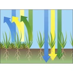 GARDENA EVC 1000 Verticuteermachine - Werkbreedte 30 Cm - Werkgebied 600m2 -Tuinverzorgings Winkel 1200x1200 364