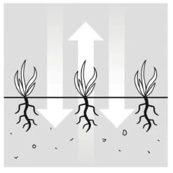 GARDENA EVC 1000 Verticuteermachine - Werkbreedte 30 Cm - Werkgebied 600m2 -Tuinverzorgings Winkel 1200x1200 365