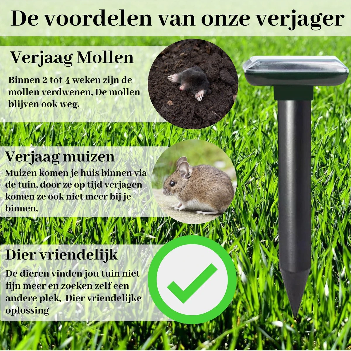 Sedeve Mollenverjager op Zonne Energie –Mollenverjager – Muizenverjager – ultrasone-verjager – Bereik van 150 m2 - set van 2 stuks Sedeve Mollenverjager Op Zonne Energie –Mollenverjager – Muizenverjager – Ultrasone-verjager – Bereik Van 150 M2 - Set Van 2 Stuks -Tuinverzorgings Winkel 1200x1200 783
