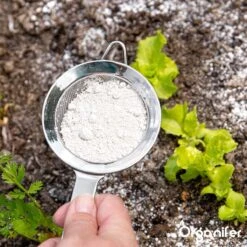 Diatomeeënaarde – 100% Zuiver – Ultra Fijn Poeder (25 Liter Zak – 10 Kg) - Organifer -Tuinverzorgings Winkel 1200x1200 793