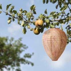 Wespenverjager – Wespen Verjagen – Bijenverjager – Wespennest – Dummy Wespennest - Wespinator – 2 Stuks -Tuinverzorgings Winkel 1200x1200 813