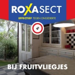 Roxasect Fruitvliegjes Ongedierteval - Anti-fruitvliegjes Insectenval - 1 Stuks 9 Roxasect Fruitvliegjes Ongedierteval - Anti-fruitvliegjes Insectenval - 1 Stuks -Tuinverzorgings Winkel 1200x1200 832