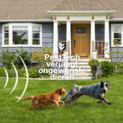 Pest Tech - PT-200 - Kattenverjager - Ultrasone Kattenverjager - Kattenschrik - Zonneenergie - Marterverjager -Zonder Solar Paneel - *Zonder Batterijen Inclusief 7 Pest Tech - PT-200 - Kattenverjager - Ultrasone Kattenverjager - Kattenschrik - Zonneenergie - Marterverjager -Zonder Solar Paneel - *Zonder Batterijen Inclusief -Tuinverzorgings Winkel 1200x1200 841