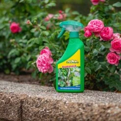 ECOstyle Promanal-R Spray Gebruiksklaar - Insecten Bestrijdingsmiddel Voor Spint, Wolluis En Dopluis - Binnens- En Buitenshuis- 100% Plantaardig - 500 ML -Tuinverzorgings Winkel 1200x1200 871