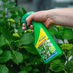 ECOstyle Promanal-R Spray Gebruiksklaar - Insecten Bestrijdingsmiddel Voor Spint, Wolluis En Dopluis - Binnens- En Buitenshuis- 100% Plantaardig - 500 ML -Tuinverzorgings Winkel 1200x1200 872