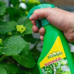 ECOstyle Promanal-R Spray Gebruiksklaar - Insecten Bestrijdingsmiddel Voor Spint, Wolluis En Dopluis - Binnens- En Buitenshuis- 100% Plantaardig - 500 ML -Tuinverzorgings Winkel 1200x1200 873