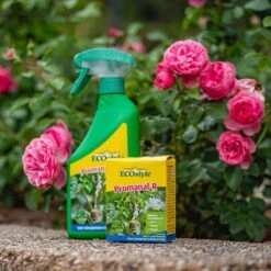 ECOstyle Promanal-R Spray Gebruiksklaar - Insecten Bestrijdingsmiddel Voor Spint, Wolluis En Dopluis - Binnens- En Buitenshuis- 100% Plantaardig - 500 ML -Tuinverzorgings Winkel 1200x1200 874