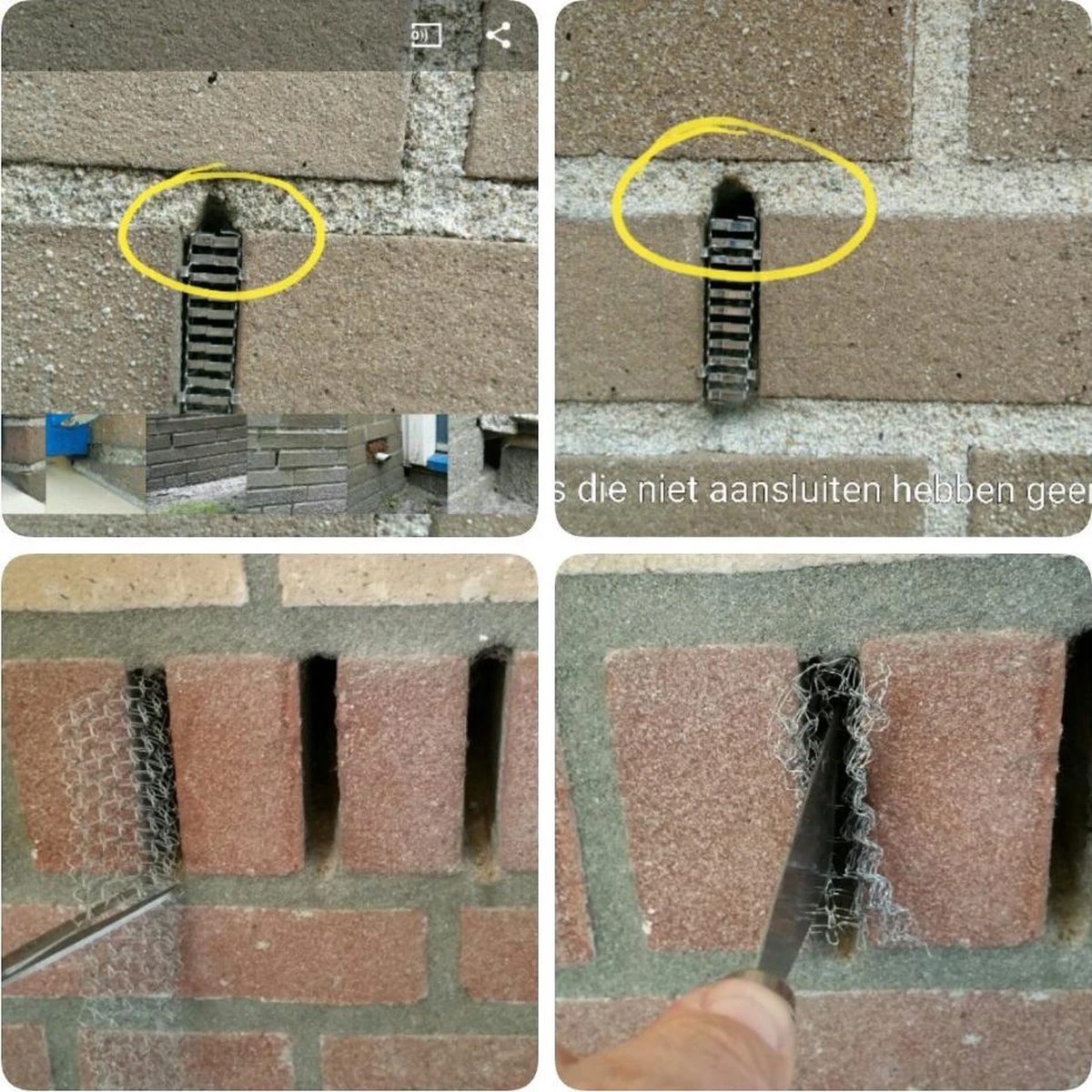 RVS wering gaas - muizengaas - afdichtingsnet - Netnox - Stootvoegroostergaas - rattengaas - insectengaas - rvs gaas - per 1 meter RVS Wering Gaas - Muizengaas - Afdichtingsnet - Netnox - Stootvoegroostergaas - Rattengaas - Insectengaas - Rvs Gaas - Per 1 Meter -Tuinverzorgings Winkel 1200x1200 900