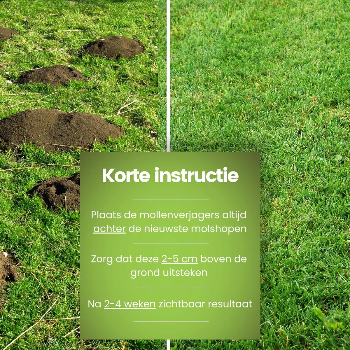 Aniway®- Mollenverjager - 2 of 4 stuks - Mollenbestrijding - Op zonne-energie - Diervriendelijk - Waterdicht - Strakke tuin/gazon/perceel Aniway®- Mollenverjager - 2 Of 4 Stuks - Mollenbestrijding - Op Zonne-energie - Diervriendelijk - Waterdicht - Strakke Tuin/gazon/perceel -Tuinverzorgings Winkel 1200x1200 933