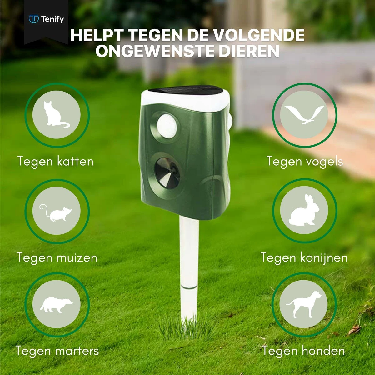 Tenify Ultrasone Kattenverjager - Groot Bereik - 360 Graden - Op Zonneenergie - USB Oplaadbaar - Kattenschrik - Afweermiddel - Ongedierte - Vogel - Dieren - Muizen - Ratten Verjager Tenify Ultrasone Kattenverjager - Groot Bereik - 360 Graden - Op Zonneenergie - USB Oplaadbaar - Kattenschrik - Afweermiddel - Ongedierte - Vogel - Dieren - Muizen - Ratten Verjager -Tuinverzorgings Winkel 1200x1200 946