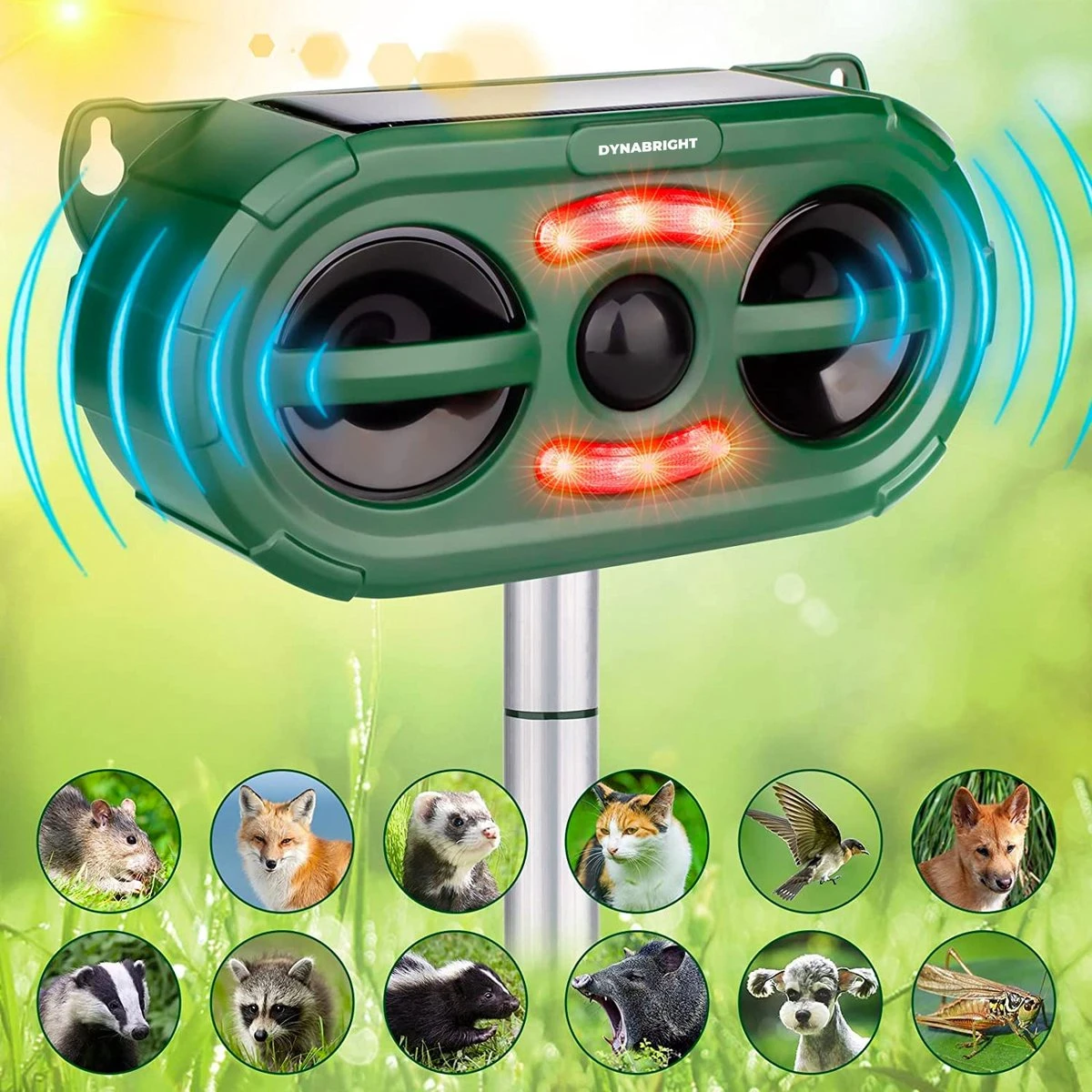 DynaBright - Solar Kattenverjager - Marterverjager - Waterdicht - Honden en Kattenschrik - Muizenverjager - Vogelverjager - Oplaadbare Batterijen - Bewegingssensor - Zonne-energie - USB Lader DynaBright - Solar Kattenverjager - Marterverjager - Waterdicht - Honden En Kattenschrik - Muizenverjager - Vogelverjager - Oplaadbare Batterijen - Bewegingssensor - Zonne-energie - USB Lader -Tuinverzorgings Winkel 1200x1200 950