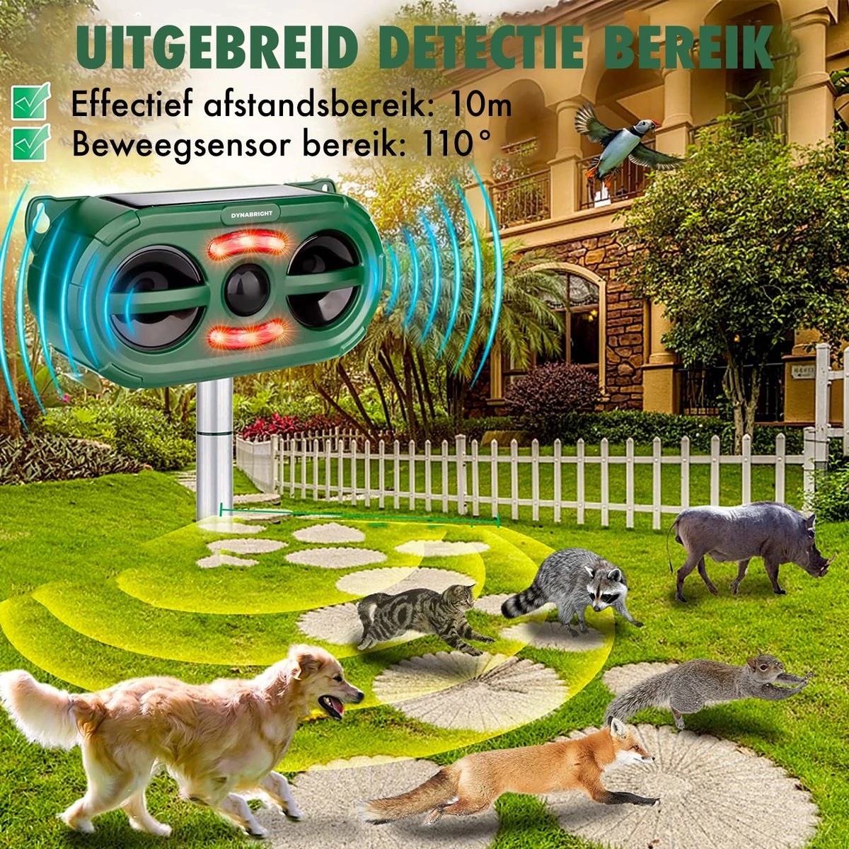 DynaBright - Solar Kattenverjager - Marterverjager - Waterdicht - Honden en Kattenschrik - Muizenverjager - Vogelverjager - Oplaadbare Batterijen - Bewegingssensor - Zonne-energie - USB Lader DynaBright - Solar Kattenverjager - Marterverjager - Waterdicht - Honden En Kattenschrik - Muizenverjager - Vogelverjager - Oplaadbare Batterijen - Bewegingssensor - Zonne-energie - USB Lader -Tuinverzorgings Winkel 1200x1200 951