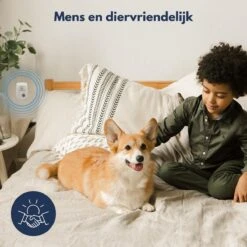 4-Pack I4Goods Ultrasone Ongedierte Verjager - Pest Reject - Muizenverjager - Vliegenverjager - Muggenstekker - Geen Chemicaliën Of Gif - Ook Voor Geaarde Stopcontacten 7 4-Pack I4Goods Ultrasone Ongedierte Verjager - Pest Reject - Muizenverjager - Vliegenverjager - Muggenstekker - Geen Chemicaliën Of Gif - Ook Voor Geaarde Stopcontacten -Tuinverzorgings Winkel 1200x1200 972