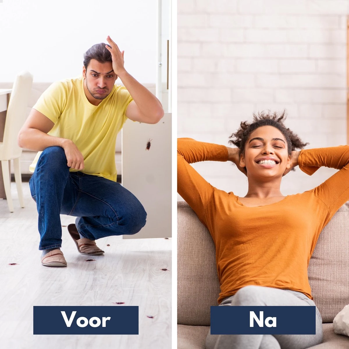 4-Pack i4Goods Ultrasone Ongedierte Verjager - Pest Reject - Muizenverjager - Vliegenverjager - Muggenstekker - Geen Chemicaliën of Gif - Ook Voor Geaarde Stopcontacten 4-Pack I4Goods Ultrasone Ongedierte Verjager - Pest Reject - Muizenverjager - Vliegenverjager - Muggenstekker - Geen Chemicaliën Of Gif - Ook Voor Geaarde Stopcontacten -Tuinverzorgings Winkel 1200x1200 973