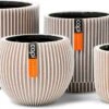 Capi Europe - Set Van 4 - Bloempot Binnen - Groove - - Ivoor - Bloempot Voor Binnen - BOX-BGVI-4 2 Capi Europe - Set Van 4 - Bloempot Binnen - Groove - - Ivoor - Bloempot Voor Binnen - BOX-BGVI-4 -Tuinverzorgings Winkel 1200x632 1