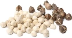 Moringa Oleifera Zaden - Zelf Moringa Oleifera Kweken - Moringa's Finest -Tuinverzorgings Winkel 1200x635