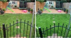 Speel En Sport Graszaad Voor 50m² Gras | Bestendig Tegen Intensief Gebruik | Gazon Voor Sporten & Spelen 8 Speel En Sport Graszaad Voor 50m² Gras | Bestendig Tegen Intensief Gebruik | Gazon Voor Sporten & Spelen -Tuinverzorgings Winkel 1200x643 3