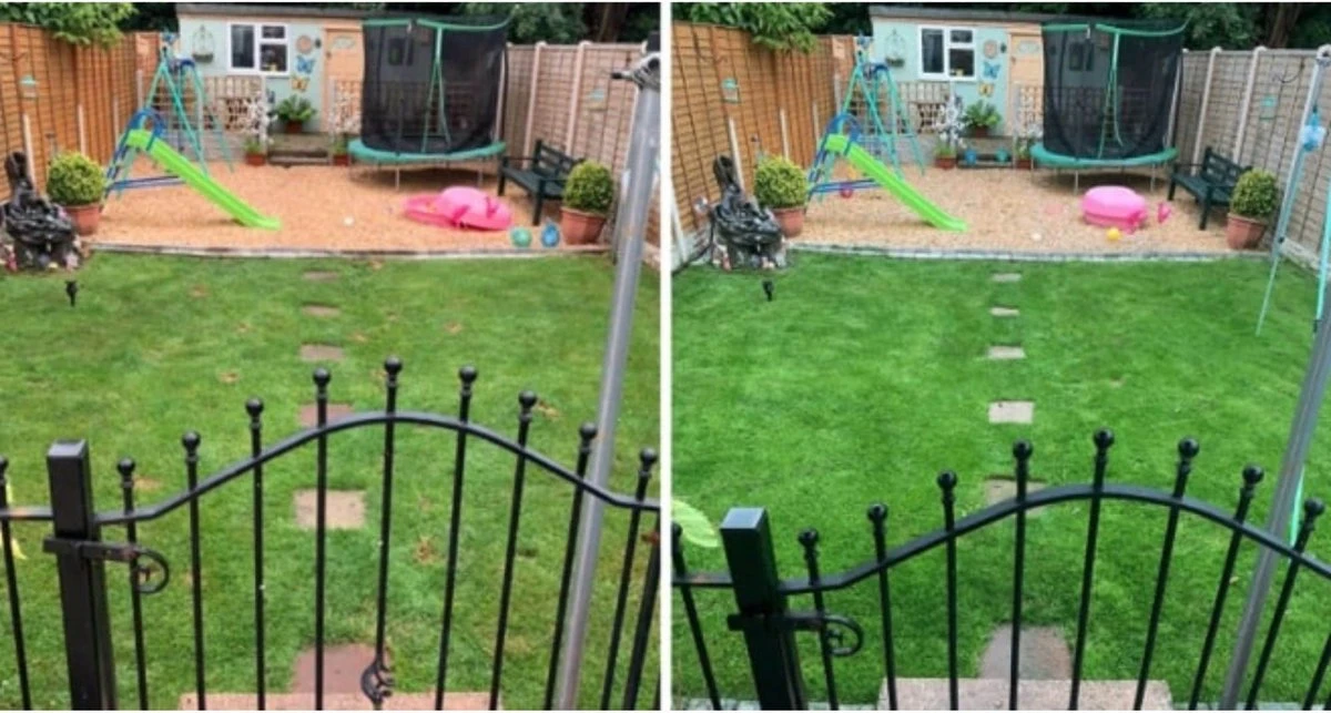 Speel en Sport Graszaad voor 50m² Gras | Bestendig tegen Intensief Gebruik | Gazon voor Sporten & Spelen Speel En Sport Graszaad Voor 50m² Gras | Bestendig Tegen Intensief Gebruik | Gazon Voor Sporten & Spelen -Tuinverzorgings Winkel 1200x643 3