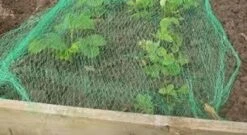 Merkloos Extra Sterk Groen Vogelnet – 5 X 4 Meter – Maaswijdte 30 Mm | Tuinnet Vogels -Tuinverzorgings Winkel 1200x655 2