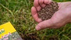 ECOstyle Gazon 4-in-1 Totaalpakket Met Kalk, Mest, Graszaad & Grond In Een Doos - Geeft Kale Plekken In Gras Egaal Herstel - 5- 10 Kale Plekken - 1 KG -Tuinverzorgings Winkel 1200x675 39