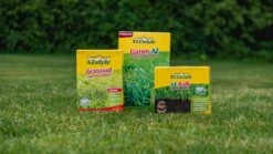 ECOstyle Graszaad Herstel Snelkiemend Gazon Gras – Herstelt Kale Plekken – Vogelwerende Coating – Geschikt Voor Zon- En Schaduw Gazons - Snelle Kieming – 40 – 60M² – 1 KG 6 ECOstyle Graszaad Herstel Snelkiemend Gazon Gras – Herstelt Kale Plekken – Vogelwerende Coating – Geschikt Voor Zon- En Schaduw Gazons - Snelle Kieming – 40 – 60M² – 1 KG -Tuinverzorgings Winkel 1200x676 5