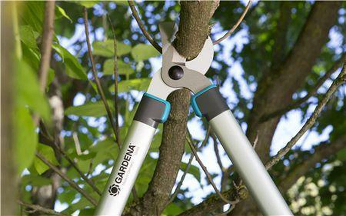 Gardena EasyCut takkenschaar 68B + Classic snoeischaar 8754 display 1stuk 12003-30 Gardena EasyCut Takkenschaar 68B + Classic Snoeischaar 8754 Display 1stuk 12003-30 -Tuinverzorgings Winkel 1200x749 2