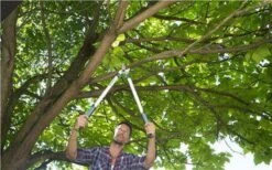 Gardena EasyCut Takkenschaar 68B + Classic Snoeischaar 8754 Display 1stuk 12003-30 9 Gardena EasyCut Takkenschaar 68B + Classic Snoeischaar 8754 Display 1stuk 12003-30 -Tuinverzorgings Winkel 1200x749 4