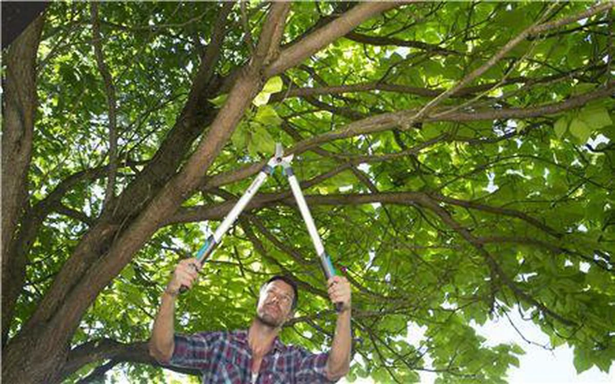 Gardena EasyCut takkenschaar 68B + Classic snoeischaar 8754 display 1stuk 12003-30 Gardena EasyCut Takkenschaar 68B + Classic Snoeischaar 8754 Display 1stuk 12003-30 -Tuinverzorgings Winkel 1200x749 4