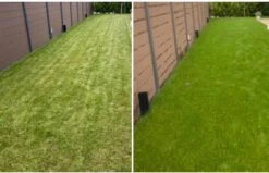 Speel En Sport Graszaad Voor 100m² Gras | Bestendig Tegen Intensief Gebruik | Gazon Voor Sporten & Spelen -Tuinverzorgings Winkel 1200x773 2