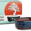 Happy Seed Keramieken Bonsai Pot (schaal) - Marine Blauw - Geglazuurd -Tuinverzorgings Winkel 1200x779 2