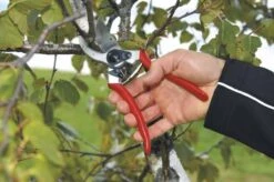 Felco 2 Snoeischaar - Rechtshandig - Max. Knipdiameter 25 Mm - Lengte 215 Mm -Tuinverzorgings Winkel 1200x796 6