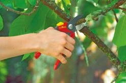 WOLF-Garten Snoeischaar "Premium Plus" RS 4000 - Aambeeld - Max. Knipdiameter 25 Mm - Links- En Rechtshandige - Softinleg Handgreep - Snijhoek 30° - Voor Grote Handen - Vervangbare Messen En Aambeeld -Tuinverzorgings Winkel 1200x798 9