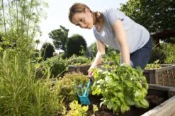 GARDENA Combisystem Tuinhak - Werkbreedte 6,5cm - 25 Jaar Garantie 8 GARDENA Combisystem Tuinhak - Werkbreedte 6,5cm - 25 Jaar Garantie -Tuinverzorgings Winkel 1200x799 165