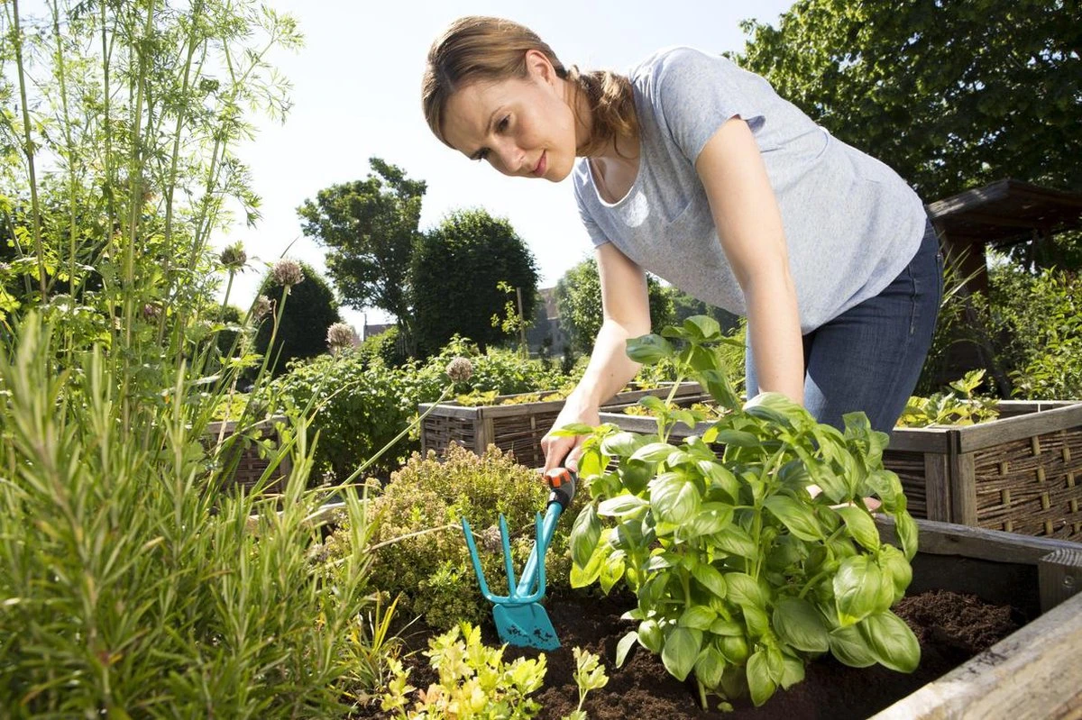 GARDENA Combisystem Tuinhak - werkbreedte 6,5cm - 25 jaar garantie GARDENA Combisystem Tuinhak - Werkbreedte 6,5cm - 25 Jaar Garantie -Tuinverzorgings Winkel 1200x799 165