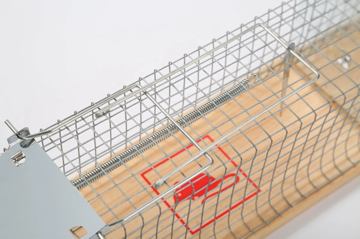 set van 2 Diervriendelijke muizenval "Gabbia" - inloopval - muizenkooi - ongedierteval - ongediertebestrijding Set Van 2 Diervriendelijke Muizenval "Gabbia" - Inloopval - Muizenkooi - Ongedierteval - Ongediertebestrijding -Tuinverzorgings Winkel 1200x799 186