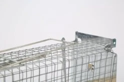 Set Van 2 Diervriendelijke Muizenval "Gabbia" - Inloopval - Muizenkooi - Ongedierteval - Ongediertebestrijding 6 Set Van 2 Diervriendelijke Muizenval "Gabbia" - Inloopval - Muizenkooi - Ongedierteval - Ongediertebestrijding -Tuinverzorgings Winkel 1200x799 187