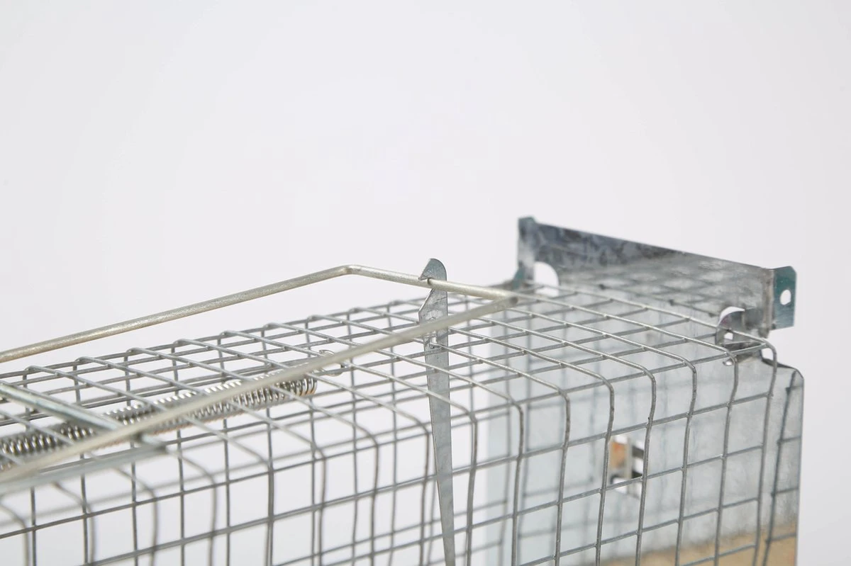 set van 2 Diervriendelijke muizenval "Gabbia" - inloopval - muizenkooi - ongedierteval - ongediertebestrijding Set Van 2 Diervriendelijke Muizenval "Gabbia" - Inloopval - Muizenkooi - Ongedierteval - Ongediertebestrijding -Tuinverzorgings Winkel 1200x799 187