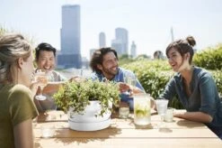 Elho Greenville Schaal 33 - Bloempot Voor Buiten - Ø 32.5 X H 19.4 Cm - Groen/Blad Groen -Tuinverzorgings Winkel 1200x799 235