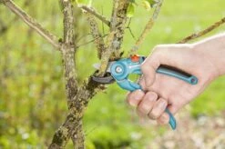 GARDENA Classic Aambeeld Snoeischaar - Ø 18 Mm -Tuinverzorgings Winkel 1200x799 83