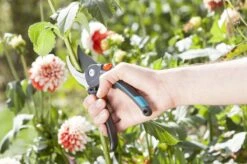 GARDENA Comfort B/M Bypass Snoeischaar - Ø 24mm - Met Sapgeul -Tuinverzorgings Winkel 1200x799 89