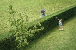 Bosch AHS 50-20 Accu Heggenschaar - Met 1 X 18 V Accu En Lader -Tuinverzorgings Winkel 1200x800 118