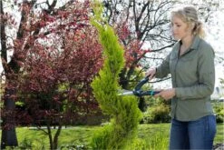 GARDENA PrecisionCut Buxusschaar - Meslengte 18 Cm - Vormsnoeien -Tuinverzorgings Winkel 1200x800 141