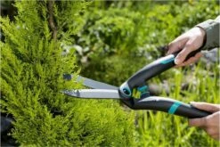 GARDENA PrecisionCut Buxusschaar - Meslengte 18 Cm - Vormsnoeien -Tuinverzorgings Winkel 1200x800 142