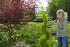 GARDENA PrecisionCut Buxusschaar - Meslengte 18 Cm - Vormsnoeien -Tuinverzorgings Winkel 1200x800 144