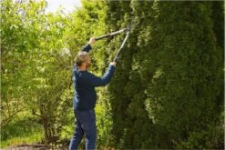 GARDENA TeleCut Heggenschaar - Telescopische Handgrepen Van 70-90 Cm 7 GARDENA TeleCut Heggenschaar - Telescopische Handgrepen Van 70-90 Cm -Tuinverzorgings Winkel 1200x800 148