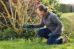 Bosch KEO 18 Accu Tuinzaagmachine - Snijdiameter Van 80 Mm - Met 18 V Accu En Lader 15 Bosch KEO 18 Accu Tuinzaagmachine - Snijdiameter Van 80 Mm - Met 18 V Accu En Lader -Tuinverzorgings Winkel 1200x800 159