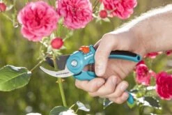 GARDENA - Classic B/S-M Bypass Snoeischaar - Ø 22mm - 25 Jaar Garantie -Tuinverzorgings Winkel 1200x800 164