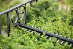 Bosch UniversalHedgeCut 18-55 Heggenschaar - Zonder 18V Accu En Oplader 6 Bosch UniversalHedgeCut 18-55 Heggenschaar - Zonder 18V Accu En Oplader -Tuinverzorgings Winkel 1200x800 189