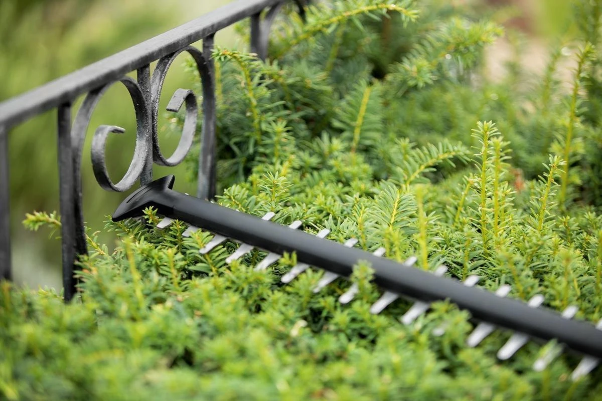 Bosch UniversalHedgeCut 18-55 Heggenschaar - Zonder 18V accu en oplader Bosch UniversalHedgeCut 18-55 Heggenschaar - Zonder 18V Accu En Oplader -Tuinverzorgings Winkel 1200x800 189